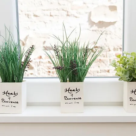 Apartament Break Klishe Zen *