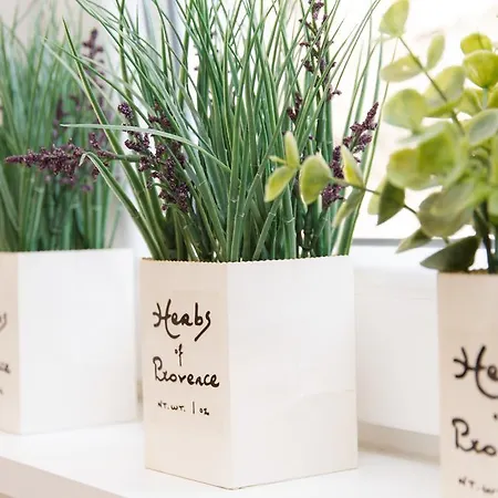 Apartament Break Klishe Zen