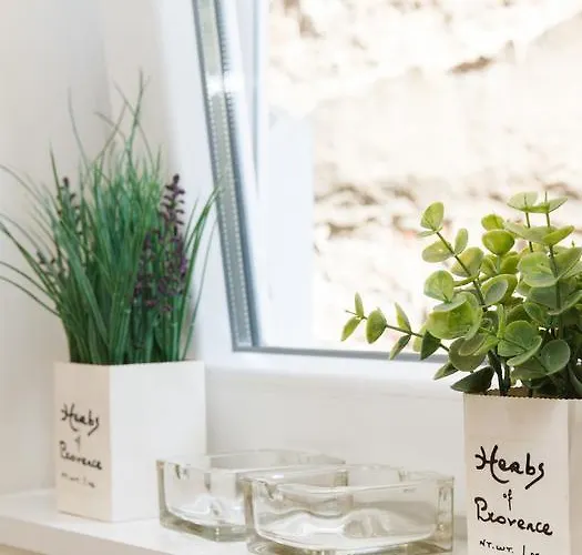 Break Klishe Zen * ベオグラード