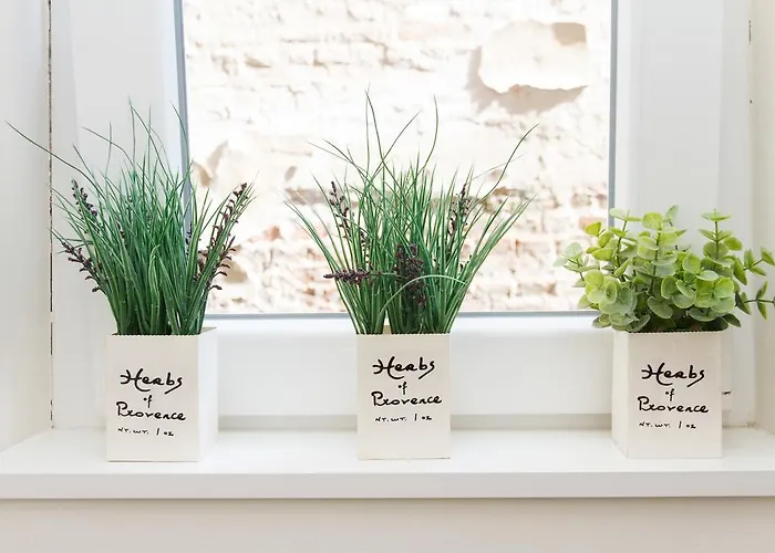 アパート Break Klishe Zen *