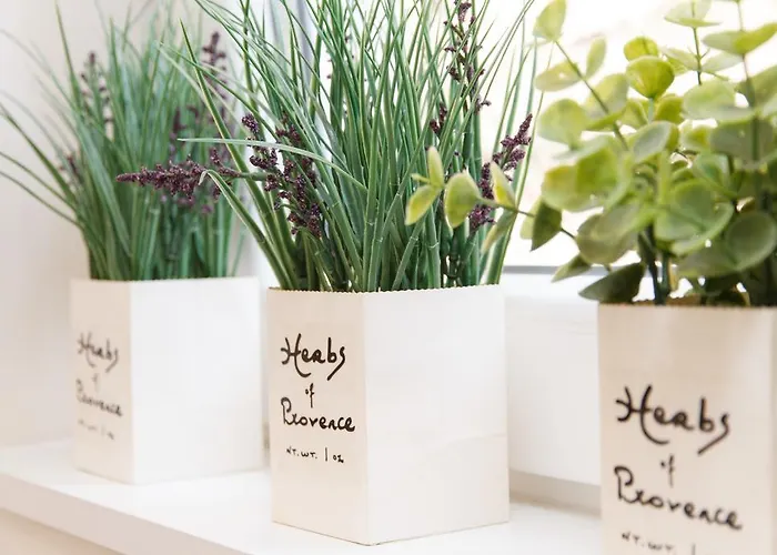 アパート Break Klishe Zen